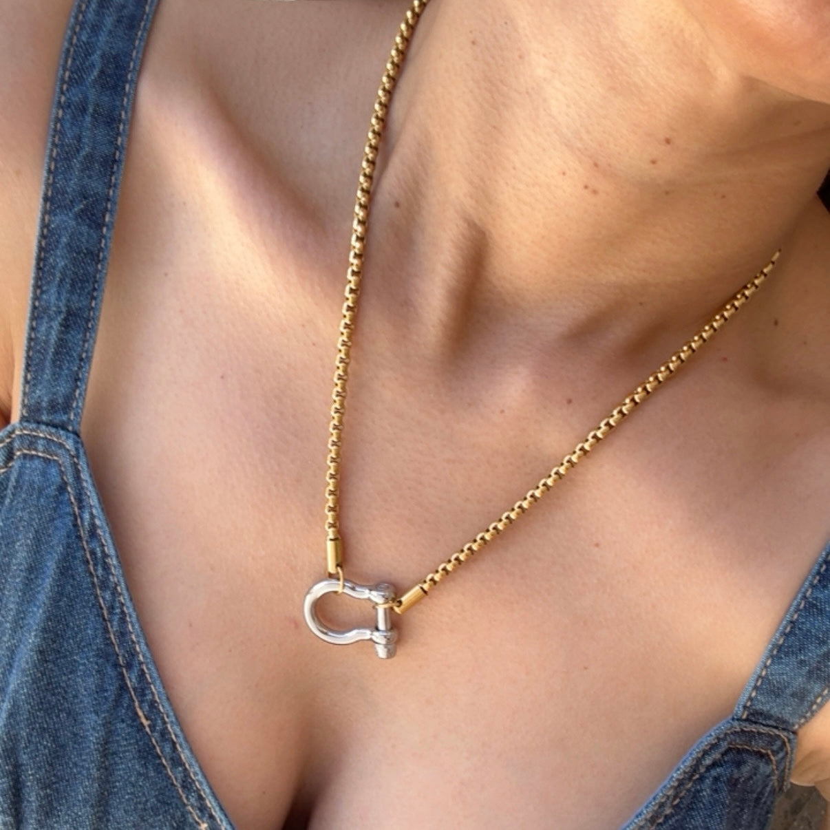 Collar Bicolor